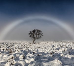 Weißer Regenbogen, Schneelandschaft und ein Baum