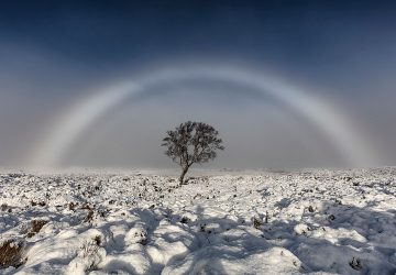 Weißer Regenbogen, Schneelandschaft und ein Baum