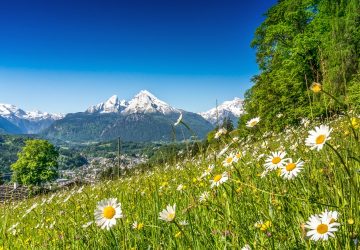 Österreich: Wunderschöner Frühling